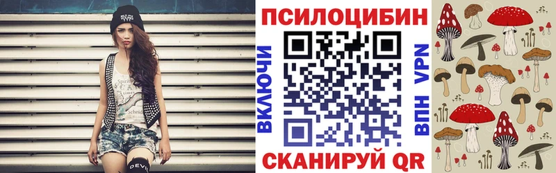 Купить Бирск Псилоцибиновые грибы Psilocybine cubensis